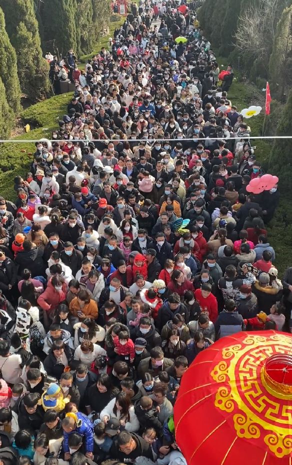 米乐M6 M6米乐奶茶店排号到280、山顶吹风5小时春节旅游到底是谁“报复”谁(图3)