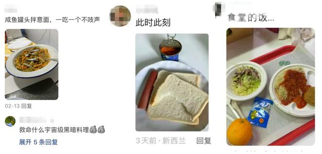 米乐 M6留学生回国就暴饮暴食？被“白人饭”吃哭真的在外国受委屈了(图7)