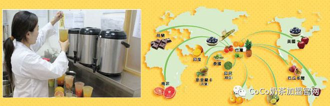 划重点 coco奶茶【加盟费明细】公布！要不要加盟你说了算米乐 M6(图9)