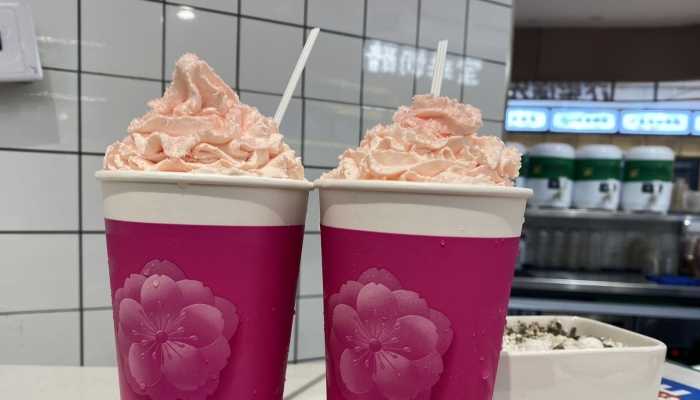 女子加盟米乐M6 M6米乐奶茶店半年亏60多万 公司账户余额仅剩169元(图2)